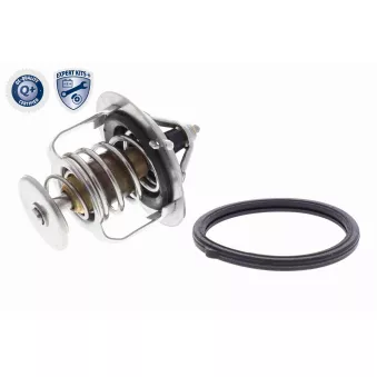 Thermostat d'eau ACKOJA A32-99-1705