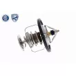 Thermostat d'eau ACKOJA A32-99-1705 - Visuel 3