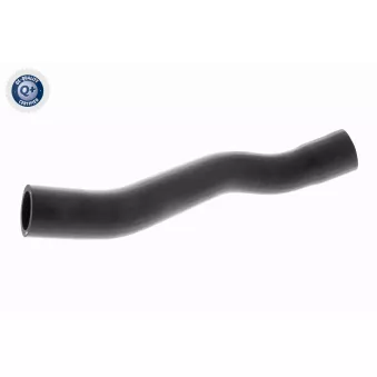 Durite de radiateur ACKOJA A37-1601