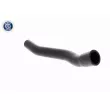 Durite de radiateur ACKOJA A37-1601 - Visuel 3