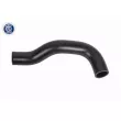 Durite de radiateur ACKOJA A37-1602 - Visuel 1