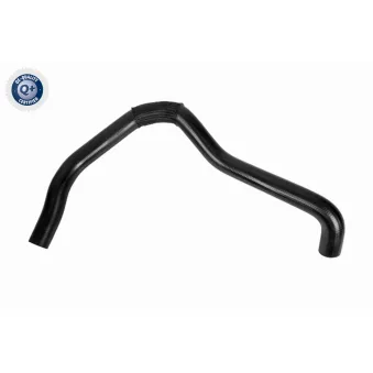 Durite de radiateur ACKOJA A37-1606