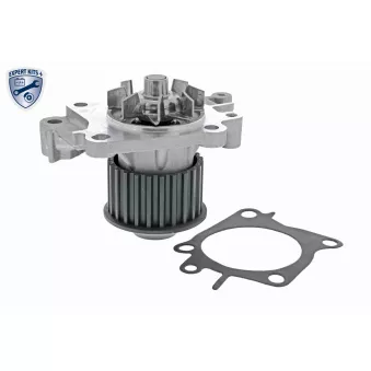 Pompe à eau ACKOJA A37-50006