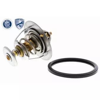 Thermostat d'eau ACKOJA A37-99-0004