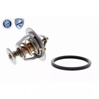 Thermostat d'eau ACKOJA A37-99-0005