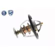Thermostat d'eau ACKOJA A37-99-0005 - Visuel 3