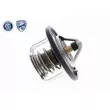 Thermostat d'eau ACKOJA A37-99-0006 - Visuel 3