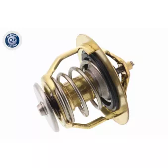 Thermostat d'eau ACKOJA A37-99-0010