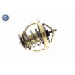Thermostat d'eau ACKOJA A37-99-0010 - Visuel 3