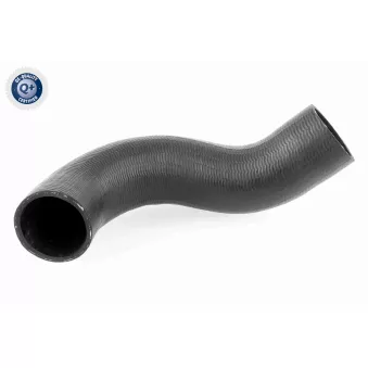 Gaine de suralimentation ACKOJA A38-0298