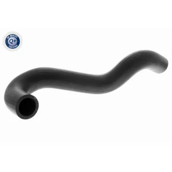 Durite de radiateur ACKOJA A38-1602