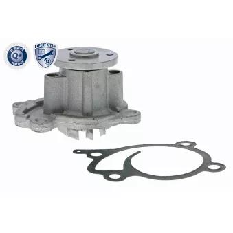 Pompe à eau ACKOJA A38-50009
