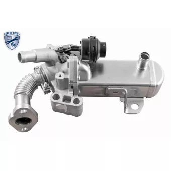 Module-EGR ACKOJA A38-63-0004