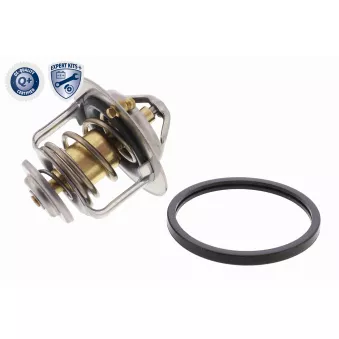 Thermostat d'eau ACKOJA A38-99-0002