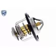Thermostat d'eau ACKOJA A38-99-0003 - Visuel 3