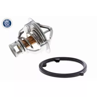 Thermostat d'eau ACKOJA A38-99-0005
