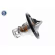 Thermostat d'eau ACKOJA A38-99-0005 - Visuel 3