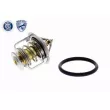 Thermostat d'eau ACKOJA A38-99-0006 - Visuel 1