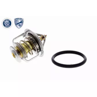 Thermostat d'eau ACKOJA A38-99-0006