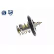 Thermostat d'eau ACKOJA A38-99-0006 - Visuel 3