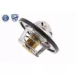 Thermostat d'eau ACKOJA A38-99-0008 - Visuel 1