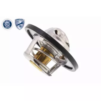 Thermostat d'eau ACKOJA A38-99-0008