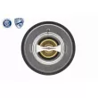 Thermostat d'eau ACKOJA A38-99-0008 - Visuel 2