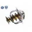 Thermostat d'eau ACKOJA A38-99-0013 - Visuel 1