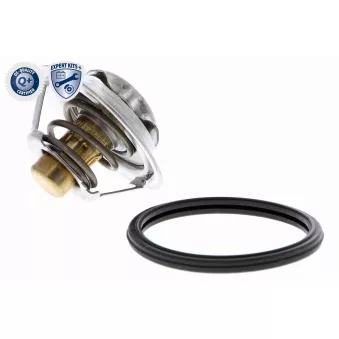 Thermostat d'eau ACKOJA A38-99-0015