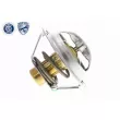 Thermostat d'eau ACKOJA A38-99-0015 - Visuel 3