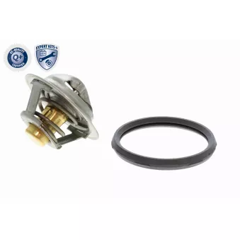 Thermostat d'eau ACKOJA A38-99-0033