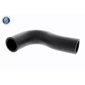 Durite de radiateur ACKOJA A51-1602