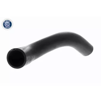 Durite de radiateur ACKOJA A51-1606