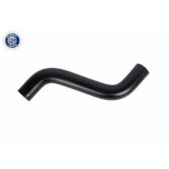 Durite de radiateur ACKOJA A51-1608