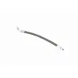Flexible de frein ACKOJA A52-0459 - Visuel 3