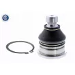 Rotule de suspension ACKOJA A52-1171 - Visuel 1