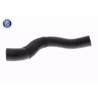Durite de radiateur ACKOJA A52-1600
