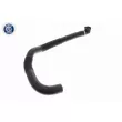 Durite de radiateur ACKOJA A52-1604 - Visuel 1