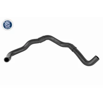 Durite de radiateur ACKOJA A52-1606