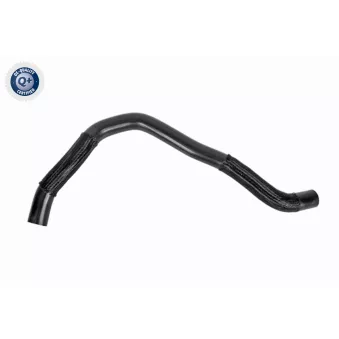 Durite de radiateur ACKOJA A52-1607