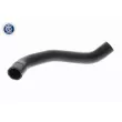 Durite de radiateur ACKOJA A52-1609 - Visuel 1