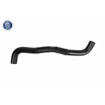 Durite de radiateur ACKOJA A52-1610