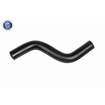 Durite de radiateur ACKOJA A52-1615