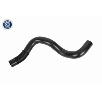 Durite de radiateur ACKOJA A52-1619