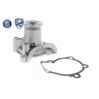 Pompe à eau ACKOJA A52-50001