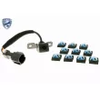 Caméra de marche arrière, partronic ACKOJA A52-74-0001 - Visuel 1