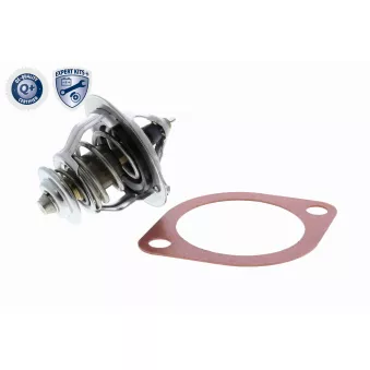 Thermostat d'eau ACKOJA A52-99-0003