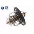 Thermostat d'eau ACKOJA A52-99-0004 - Visuel 1