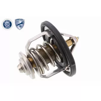 Thermostat d'eau ACKOJA A52-99-0004