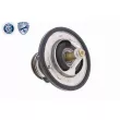 Thermostat d'eau ACKOJA A52-99-0004 - Visuel 3
